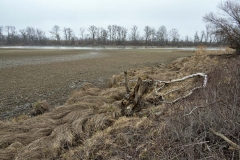 Schönauer Wasser