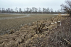 Schönauer Wasser