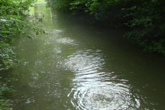 muehlleiten_blasen2