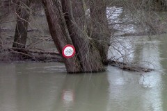 Donauseite Schutzdamm, Schönauer Rundweg: Das Radfahrverbot wirkt heute kurios, ist aber ansonsten unumstritten.