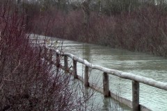 Geschafft. Das Wasser hatte etwa 6 Grad, wie ich zu Hause festgestellt habe. 