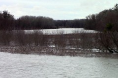 Schönauer Wasser, Blick vom Radweg aus