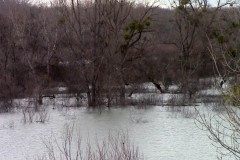 Bei der Schönauer Traverse. Das Donauwasser gelangt durch eine Lücke im Schutzdamm in die Au, die ca. 1 km stromabwärts liegt ("Schönauer Schlitz").