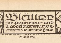 1920 … die Lobau und der Prater sehen grauenhaft aus