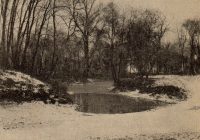 Weihnachten 1910: Lob der Lobau