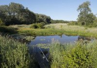 Jämmerlicher Wasserstand: kein Ende abzusehen