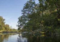 Lokalaugenschein Eberschüttwasser