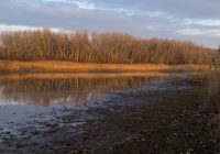 Dezember am Kühwörtherwasser