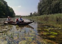 Landtagsabgeordneter Josef Taucher in der sterbenden Lobau