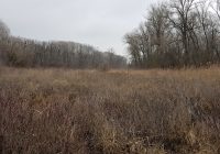 Sehr mysteriös: das Wasserwerk, das die Lobau retten könnte