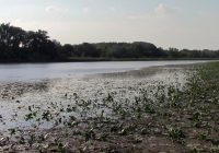 Nach wie vor keine Lösung: Wasserwerke gegen Nationalpark