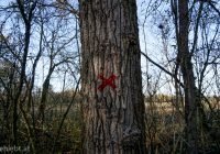 Unglaublich: das Wasserwerk und die Lobau-Autobahn