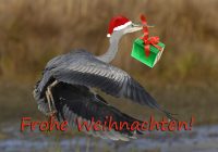 Weihnachten 2019