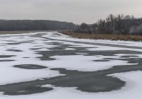 Wien und die Lobau: Rechtsverstöße und Zwickmühlen