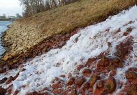 Sperrbrunnen entwässern die Lobau: die ganze Geschichte