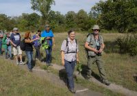 Mit den GRÜNEN in der Oberen Lobau