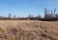 Lobau: Die Wahrheit muss leiden