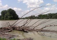 Untere Lobau: Hochwasser am 19. Juli 2021