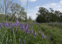 Zukunft Wienerwald Nord-Ost: Mission erfüllt