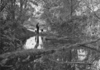 0,027 Prozent von Österreich – 100 Jahre Kampf um die Lobau