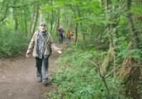 Peter Appelius: Niemand rührt ein Ohrwaschel!