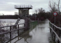 Untere Lobau: Weihnachtshochwasser 2023