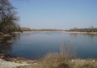 Endlich klares Bekenntnis der Stadt zur Unteren Lobau