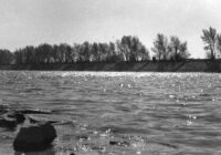 Die wilde Winterhafenrunde und die Lobau