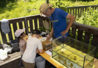 Lobaumuseum beim Sommerfest im Nationalparkhaus wien-lobAU