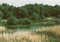 Lobau retten: zukunftsweisende Pläne